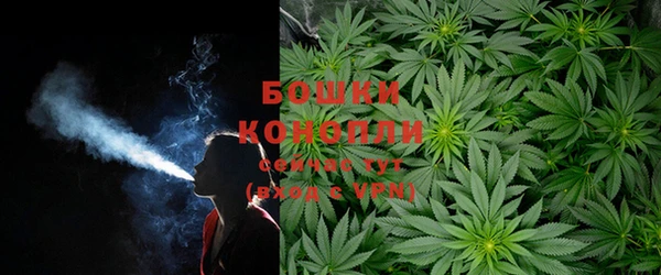 MESCALINE Вяземский